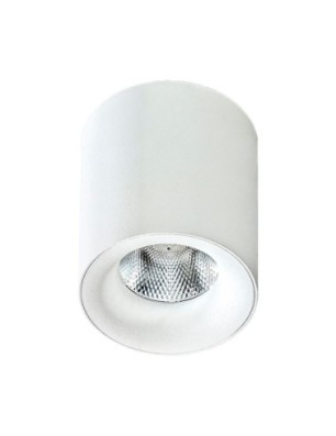 MANE DIMM 30W ściemnialna Biały