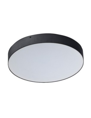 MONZA R 30 CCT + PILOT  Champagne