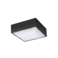 MONZA S 22 CCT + PILOT  Champagne