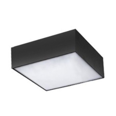 MONZA S 22 CCT + PILOT Champagne