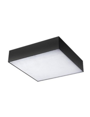 MONZA S 30 CCT + PILOT  Champagne