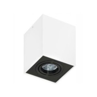 ELOY 1 Biały / Czarny