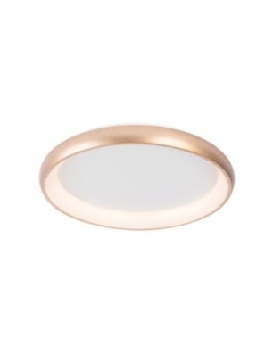 ANTONIO TOP 41 CCT CO + REMOTE CONTROL Złoty / biały