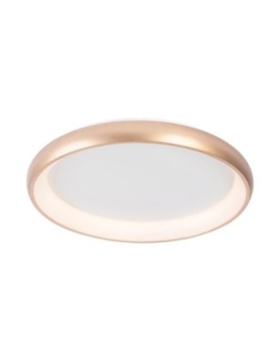 ANTONIO TOP 61 CCT CO + REMOTE CONTROL Złoty / biały