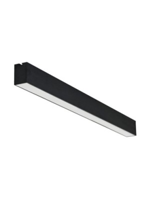 LINELIO OPAL 67 CCT DIMM