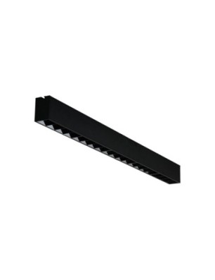 LINELIO POINTS 212 CCT DIMM