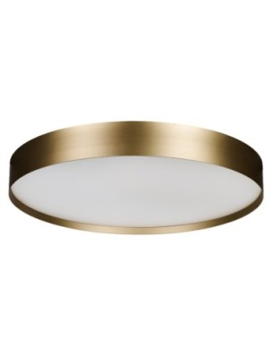 RANT 50 CCT SWITCH DIMM Złoty