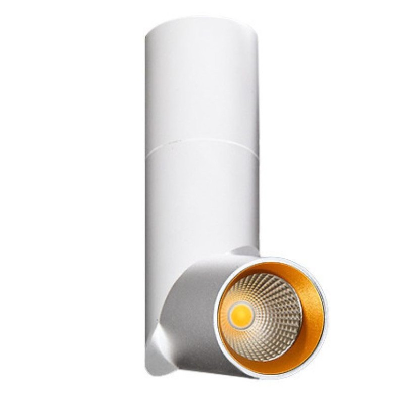 SANTOS  Biały / złoty