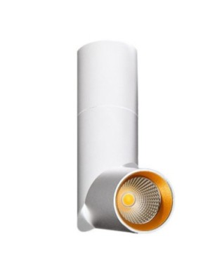 SANTOS  Biały / złoty