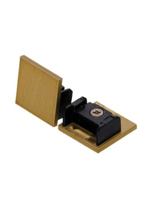 SIGMA TRACK MAGNETIC LOW END CAP GOLD