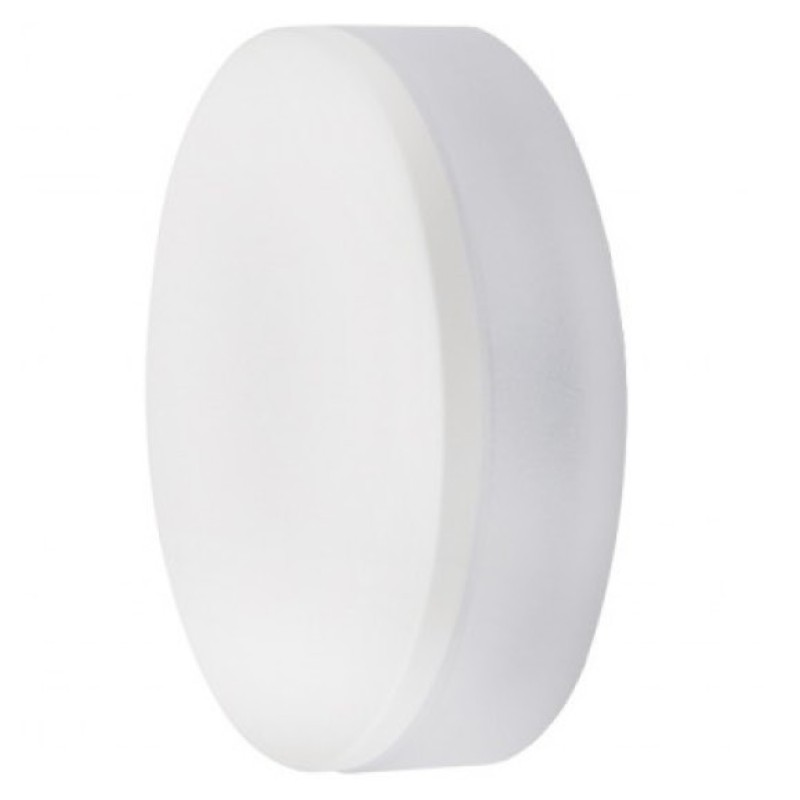 Taz Biały Taz Biały