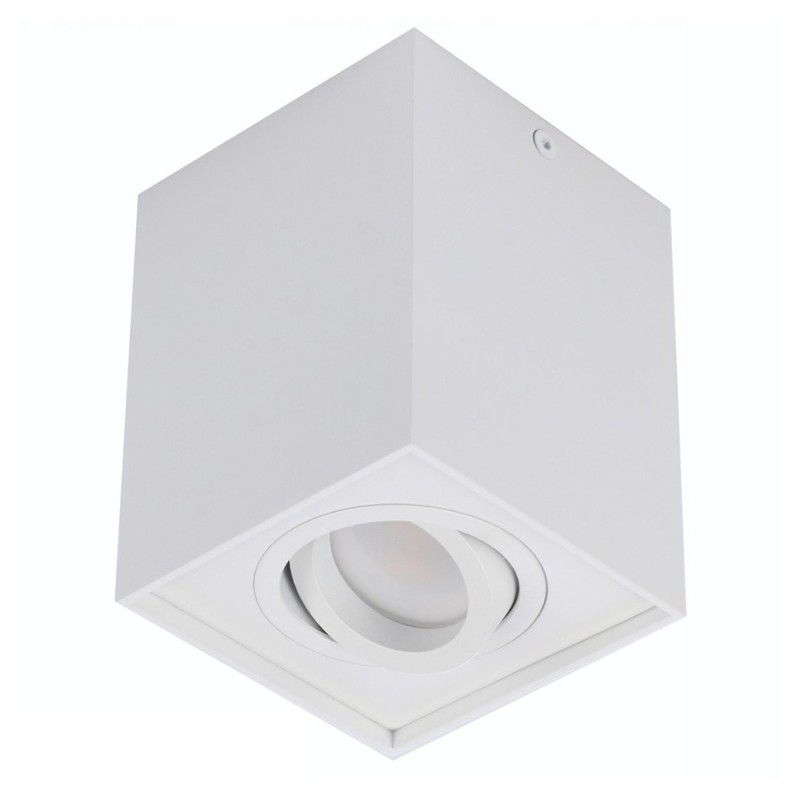 ELOY 1 Biały / Biały ELOY 1 Biały / Biały